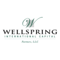 Wellspring International Capital Partners, LLC logo - Similar company to Ideamatch