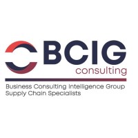 BCIG Consulting logo - Similar company to Roi Professionals