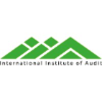 International Institute of Audit logo - Similar company to C & R Ribas Pacheco, Sroc, Lda