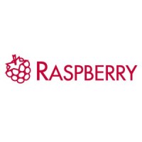 RASPBERRY SYSTEMS logo - Similar company to Raspberry Info Systems Pvt Ltd