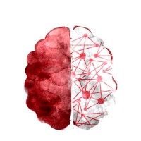 Humanji logo - Similar company to Norlys Ab