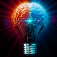 Optar.Corp logo - Similar company to Projeto Entre Laços