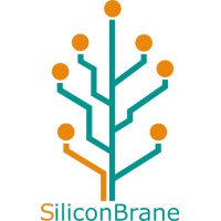 SiliconBrane Inc. logo - Similar company to Igs Systems - It