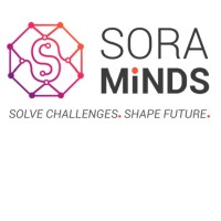 SoraMinds, LLC logo - Similar company to Auctionpe