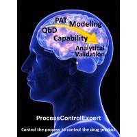 ProcessControlExpert logo - Similar company to Nir-Industry