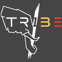 TriBE Concept logo - Similar company to Ttd Customs