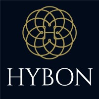 Hybon Elevators logo - Similar company to Lgs Elevator Korea