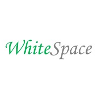 WhiteSpace Advisory and Consulting LLC logo - Similar company to Whitespace Business Advisors