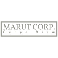 MARUT corp. logo - Similar company to Fadi Academy