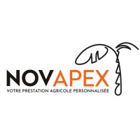 NOVAPEX logo - Similar company to Novapex Software Technologies