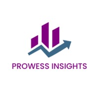 Prowess Insights logo - Similar company to Jagkumar