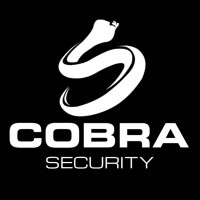Cobra Security NI logo - Similar company to Focus Security Solutions (Ni) Ltd