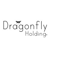 DRAGONFLY HOLDING logo - Similar company to Dragonfly Holding Group