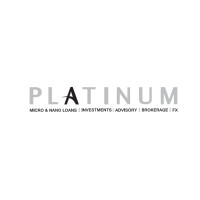 Platinum Groupe logo - Similar company to Platinum Securities (Pvt) Ltd