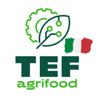 agrifoodTEF_Italia logo - Similar company to Agrifoodtef España