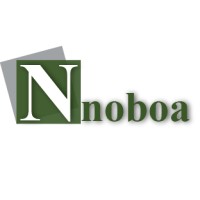 Nnoboa HR logo - Similar company to Loozeele Initiative