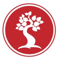 KVD Academy logo - Similar company to Za Studios