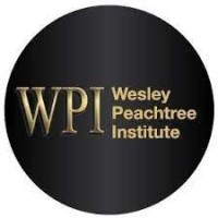 The Wesley Peachtree Institute logo - Similar company to Connecting Caribbean Companies &  Entrepreneurs With Investors -Jlrmc