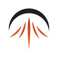 PHINIX Orbital Systems logo - Similar company to Mis (Maintenance Industrielle Sur Site)