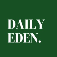 Daily Eden logo - Similar company to Vam Digital