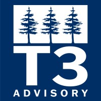 T3 Advisory logo - Similar company to Udēēsa