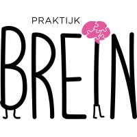 Praktijk Brein logo - Similar company to Snow Magazine