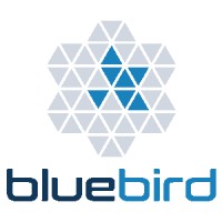 Bluebird - SAP S/4 Migration Experts logo - Similar company to Cbs Consulting