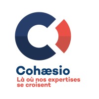 Cohaesio logo - Similar company to Touschalets