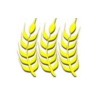 PT Sentra Pangan Utama logo - Similar company to Anita Family Bakery