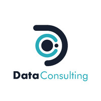 DATA CONSULTING SPAIN logo - Similar company to Ravall Software