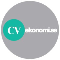 CV Ekonomi AB logo - Similar company to Knyta - Konsult Marginalen Ab
