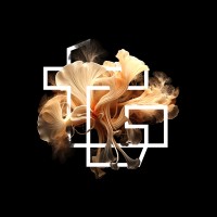 techagogics logo - Similar company to Digitalerleben