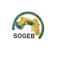 Société de Gestion et d'Exploitation du Backbone National S.A logo - Similar company to La Poste Guineenne S.A
