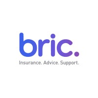 BRIC logo - Similar company to Ccm Insurance Group