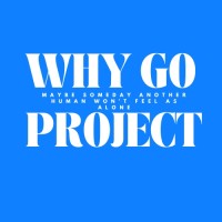 WHY GO PROJECT logo - Similar company to Advu