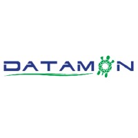 Datamon Consulting S.L. logo - Similar company to Datamonplus