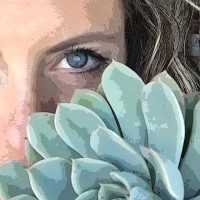 Sorella Minchella Succulent Gifts logo - Similar company to Succulent Valley