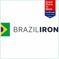 BRAZIL IRON logo - Similar company to Bamin