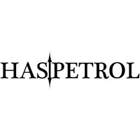 Has Petrol logo - Similar company to Hdm Foreign Trade Inc.