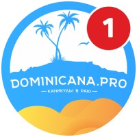 Dominicana.pro logo - Similar company to Domex Dmc