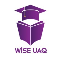 WISE Indian Private School logo - Similar company to Mindz Ventures