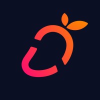 Studio Mango Iceland logo - Similar company to Long-Term Pick