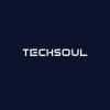 Techsoul logo - Similar company to Microsol Technologies