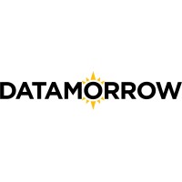 Datamorrow AI Solutions logo - Similar company to The Global Institute Of Data Science
