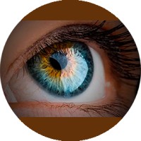 Taktilesdesign GmbH logo - Similar company to Tandaro.De