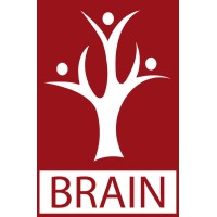 Brain logo - Similar company to The Coding Mum