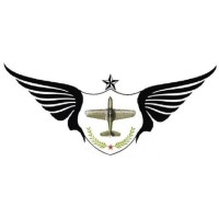 PAK AIR & SEA CARGO logo - Similar company to Express Cargo Services