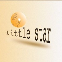 Little Star Charitable Fund logo - Similar company to Mensenkinderen