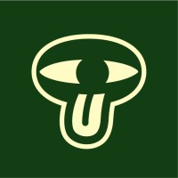 Limerick Studio logo - Similar company to O'Connor Web Design