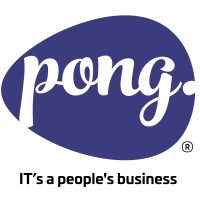 Pong. logo - Similar company to Alvant.